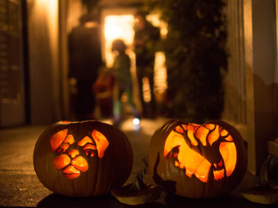 Two Jack O Lanterns On A Porch